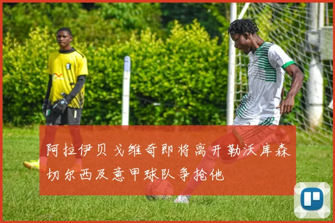 阿拉伊贝戈维奇即将离开勒沃库森切尔西及意甲球队争抢他